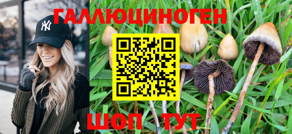 Псилоцибиновые грибы ЛСД Назарово